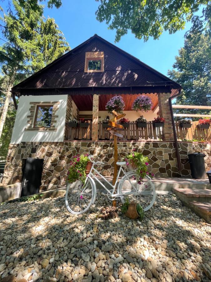 Cityside Cottage Eger Buitenkant foto
